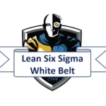 CTHS_LSSWB_badge